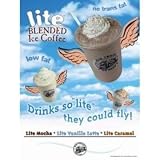 Review Big Train  / Big Train Iced Coffee LITE (3.5lb Bag)-Caramel