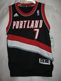 Brandon Roy Portland Trail Blazers Black NBA Youth Swingman Revolution 30 Jersey