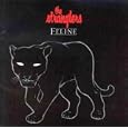 Feline