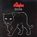 Feline