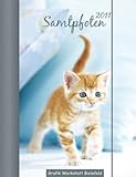 Samtpfoten 2010: Terminplaner