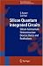 Book Silicon Quantum Integrated Circuits: Silicon-Germanium Heterostructure Devices: Basics and Realisations (NanoScience and Technology)