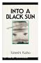 Into a Black Sun