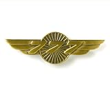777 WINGS PIN
