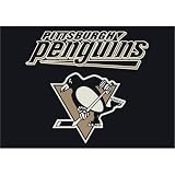 Anglo Oriental Pittsburgh Penguins 2'8 x 3'10 Spirit Rug