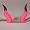 Pink black Horns