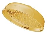 Elements of Design DK1242 Vintage Rain Drop Shower Head, Polished Brass
