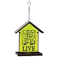 Glass Hanging Bird Feeder - Peridot