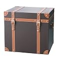 Faux-Leather Trunk - Dark Brown