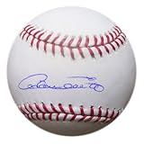 MLB Detroit Tigers Adam Everett Autographed Baseball
