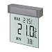 Vision Window Thermometer