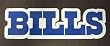 Buffalo Bills Team Name NFL Car Magnet