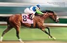 Kentucky Derby 132 Review Featuring Barbaro Kentucky Derby 132 Review Featuring Barbaro
