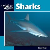 Sharks (Our Wild World)