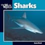 Sharks (Our Wild World)