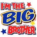 I'm The Big Brother Youth T-Shirt