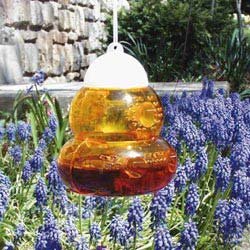 Yellow Jacket and Wasp Trap