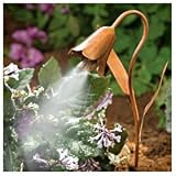 Copper Misting Drip Flower