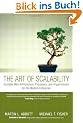 The Art of Scalability: Scalable Web Architecture, Processes and Organizations for the Modern Enterprise