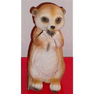 evil meerkat