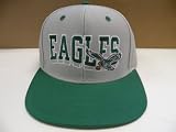 NFL Philadelphia Eagles Wave 2 Tone Snapback Cap Retro