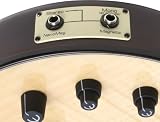 Epiphone Zenith Acoustic/Electric Bass Antique Natural