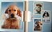 Click here to Compare Prices of 12 ADORABLE PUPPY NOTECARDS IN WALLET