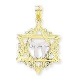 14k and Rhodium Star of David Pendant