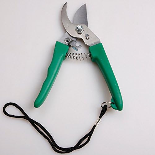 Pp Plastic and Stainless Steel Tools Tree-shears Gardening Shears Branch Cut Garden Scissors Cut Fruit