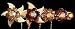 CHAMPAGNE LEAF SWAROVSKI CRYSTAL WEDDING HAIR BARRETTE ( 2 3/4"x5" )