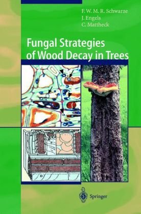 Fungal