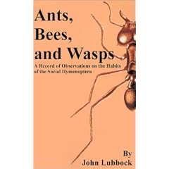 Ants, Bees, and Wasps: A Record of Observations on the Habits of the Social Hymenoptera