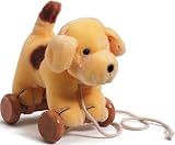 Toys : Pull Along Spot The Dog