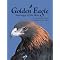 of Eagles and Hawks and John Denver