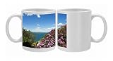Lake of Bolsena, view from Capodimonte, Viterbo, Lazio, Italy, Europe Photo Mugs