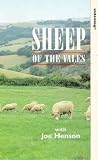 Sheep Of The Vales