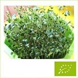 ブロッコリー(スプラウト)のタネ 14g(3800～4100粒) メール便発送ＯＫ！