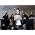 Vignette de The Agonist
