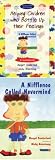Books : Helping Children Who Bottle Up Their Feelings and a Nifflenoo Called Nevermind: AND Nifflenoo Called Nevermind (Helping Children)