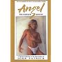 Angel: The Complete Quintet