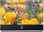 Samsung HLN567W Tantus 56-Inch DLP Widescreen Projection HDTV