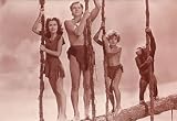 136-151 Tarzan 4x6 movie postcard