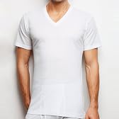 (グンゼ)GUNZE THE GUNZE NEXTRA-COTTON ＶネックTシャツ メッシュ CK8515 ホワイト L CK8515