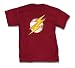 Search : FLASH POINT: FLASH SYMBOL T-Shirt