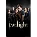 The Perfect Twilight and New Moon Gifts for Christmas 2009
