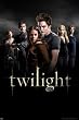 Pyramid International Twilight Group Maxi poster 61 cm x 91.5 cm, PP31638