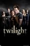 Pyramid International Twilight Group Maxi poster 61 cm x 91.5 cm, PP31638
