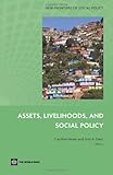 Assets, livelihoods, and social policy