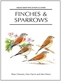 Finches & sparrows