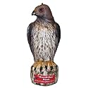 Bird B Gone MMRTH1 Hawk Decoy